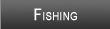 Tims Ford Lake Fishing